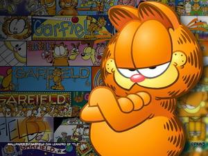 Garfield (1978-2011) Gold collection