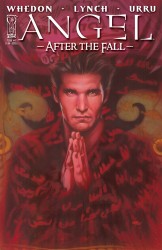 Angel - After the Fall (1-17 series + Special) Complete