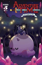 Adventure Time with Fionna & Cake #5 (2013)