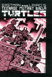 Teenage Mutant Ninja Turtles (Volume 1) 1-62 series + Spesials