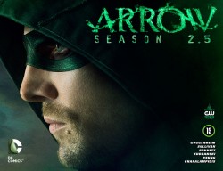Arrow - Season 2.5 #13