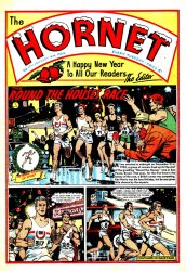 The Hornet (017-241 series)