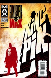 PunisherMAX #1-22 РЎomplete