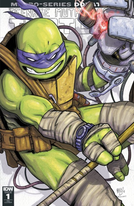 Teenage Mutant Ninja Turtles - Macro-Series #1