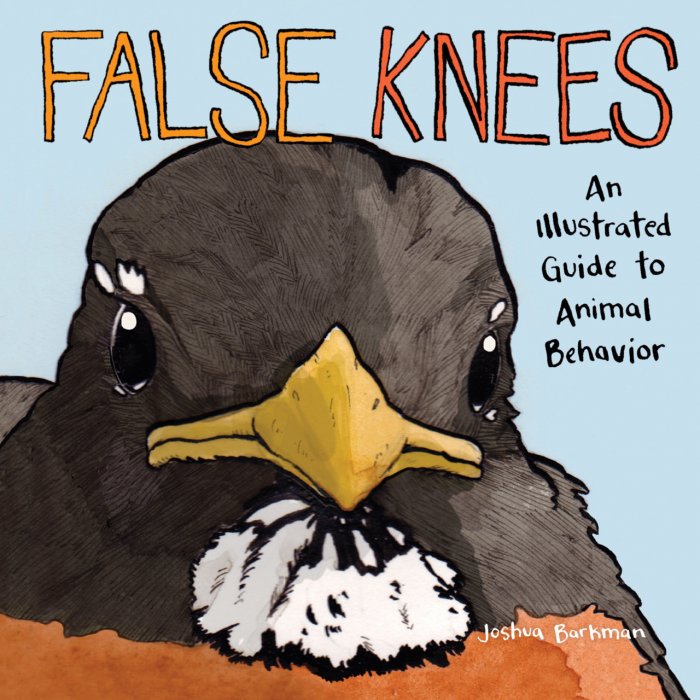 False Knees #1