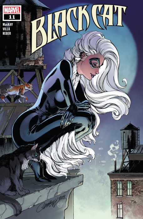 Black Cat #11