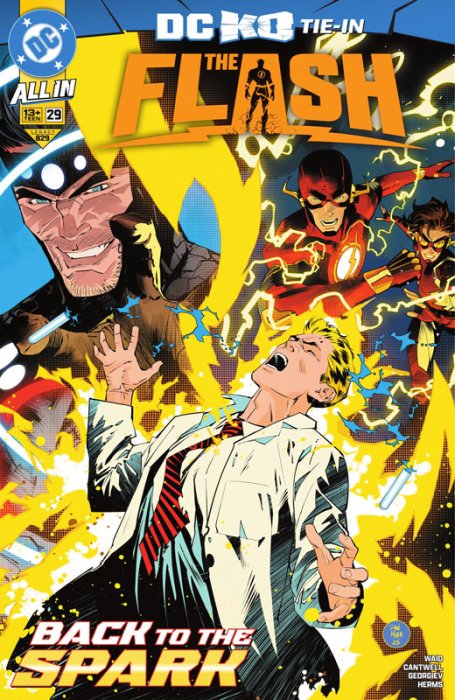 The Flash #29
