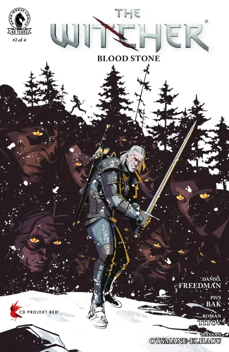 The Witcher: Blood Stone #2