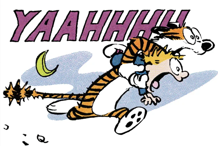 Calvin and Hobbes Portable Compendium, Book 4